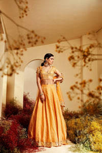 Tara Lehenga Set