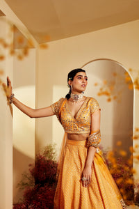 Tara Lehenga Set