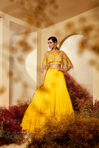 Rima Cape Lehenga Set