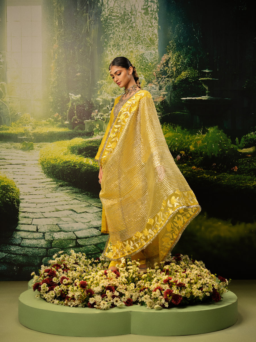 Zenia Kurta Set