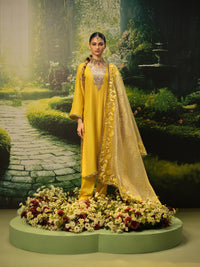 Zenia Kurta Set
