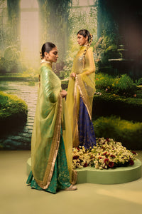 Zoya Kurta Set