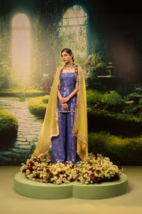 Noor Kurta Set