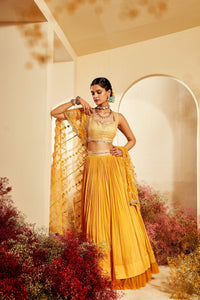 Pari Lehenga Set
