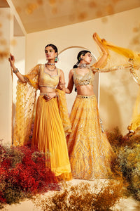 Pari Lehenga Set